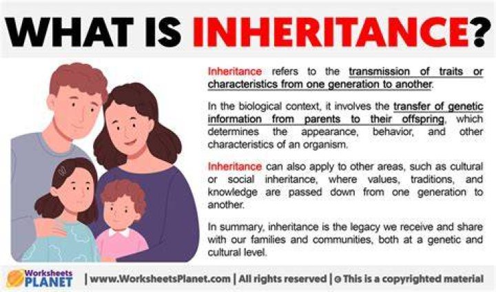 How does inheritance work in Germany?