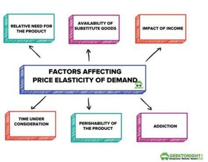 How does price elasticity affect pricing decisions?