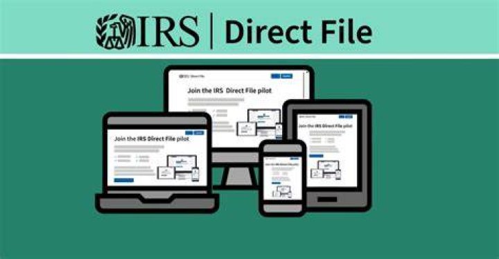 How does the IRS Free File program work?