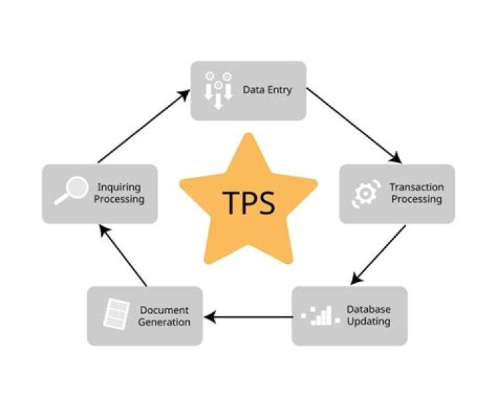 How does the TPS facilitate the business process?