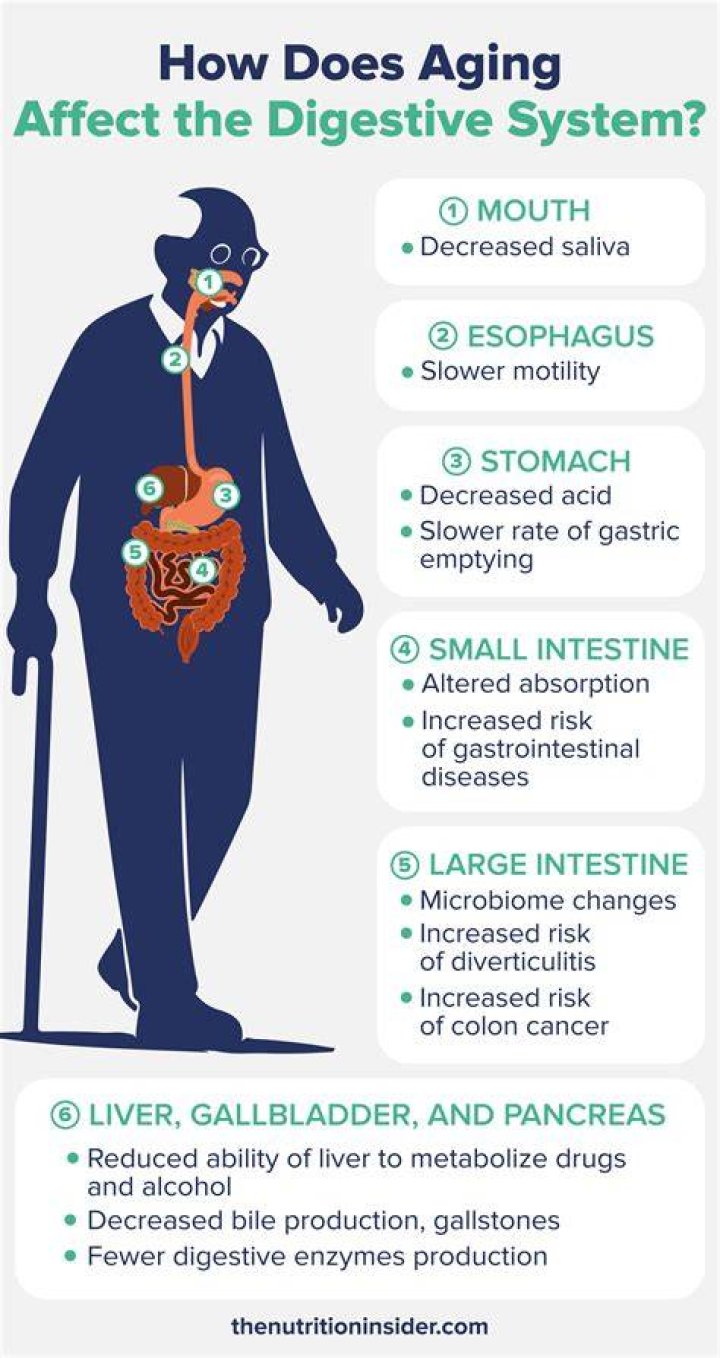 How does your digestive system change as you age?