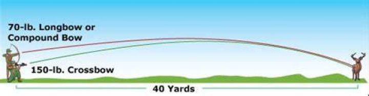 How far can a bow shoot accurately?