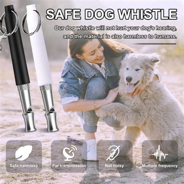 How far can a dog whistle be heard?