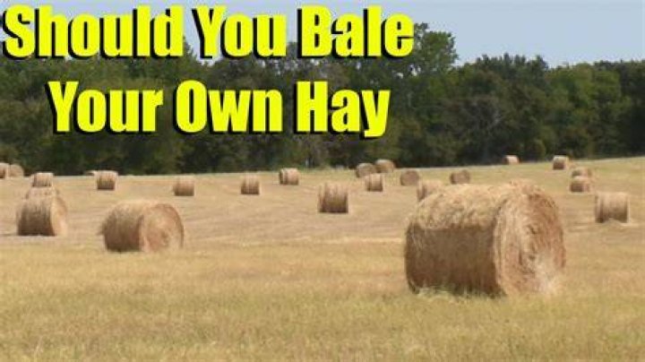 How fast should you bale hay?