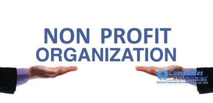 How is a non profit organization managed?