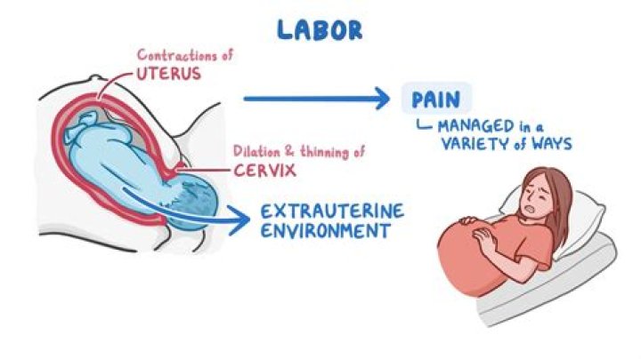 How is labour pain like?