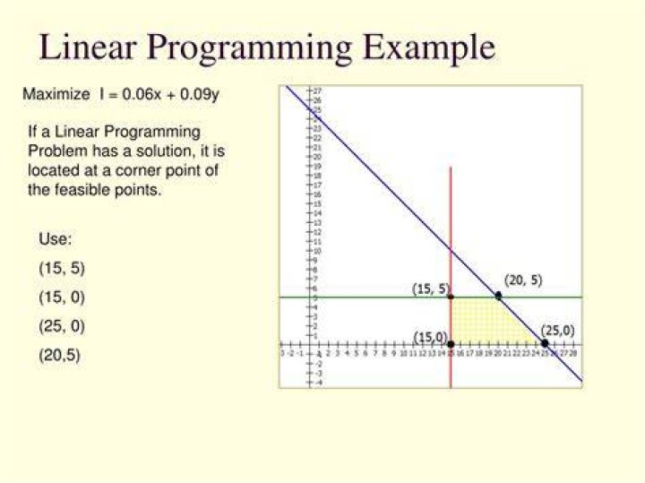 How is linear programming used in finance?