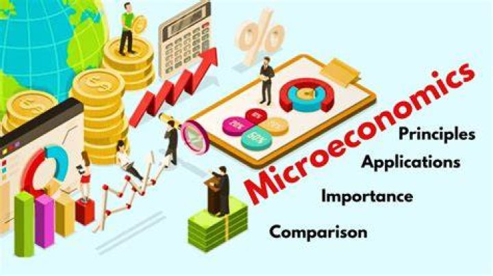 How is microeconomics used in everyday life?