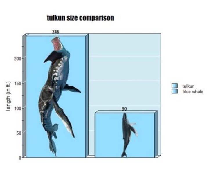How large was Tilikum compared to the others?