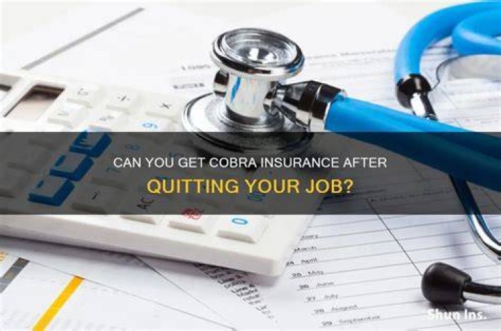 How long after losing job can you get Cobra?