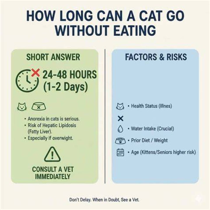 HOW LONG CAN 2 month go without eating?