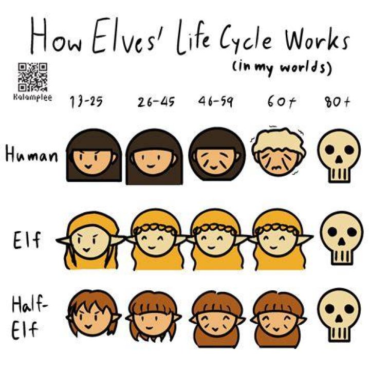 How long can a half-elf live?