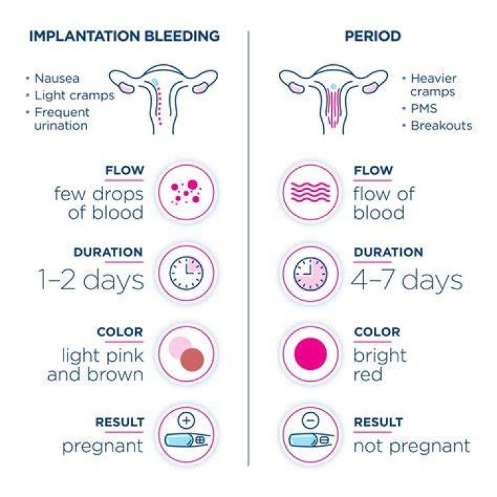 How long can implantation bleeding last?