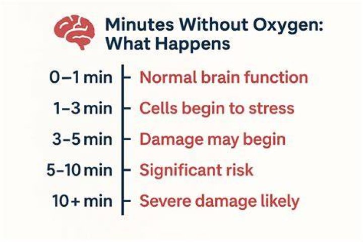 How long can the brain go without oxygen with CPR?