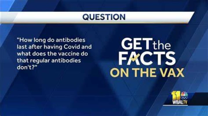 How long do antibodies last after COVID vaccine?