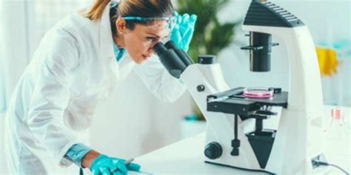 How long do geneticist work for?