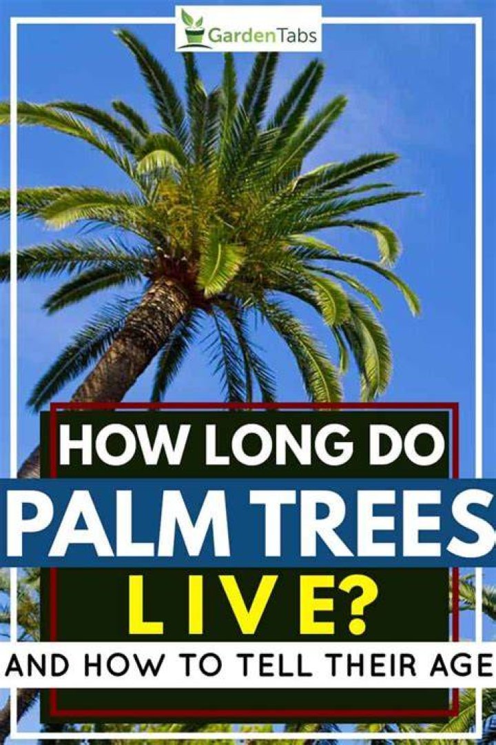 How long do palm plants live?