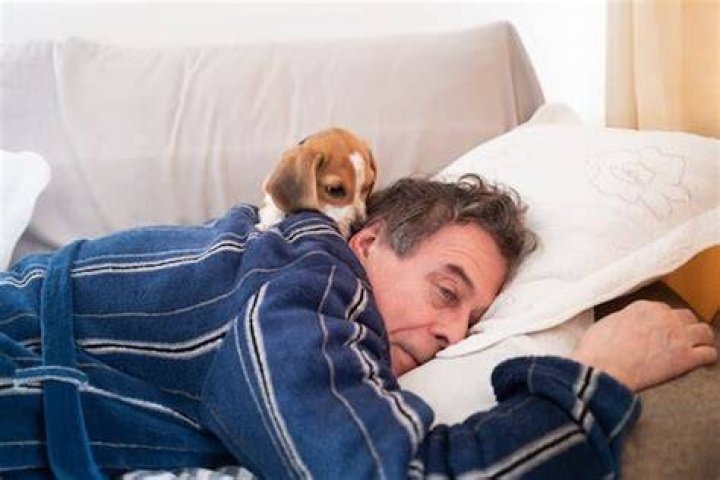 How long do the puppy blues last?