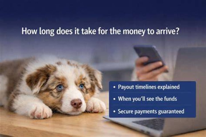 How long does a think money card take to arrive?