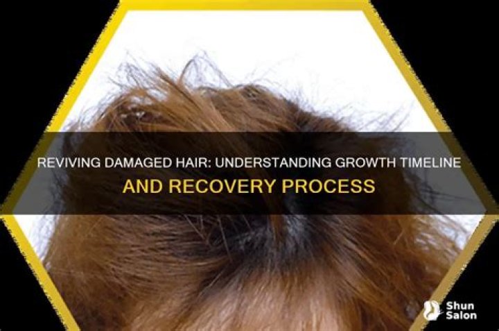 How long does damaged hair take to grow?