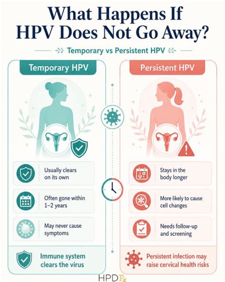 How long does high risk HPV last?