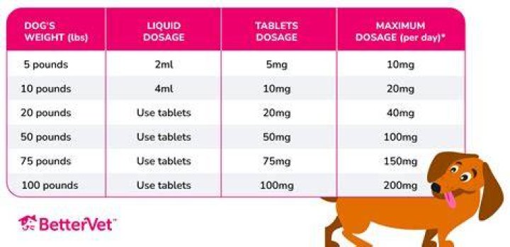 How long does it take for Benadryl to kick in for dogs?