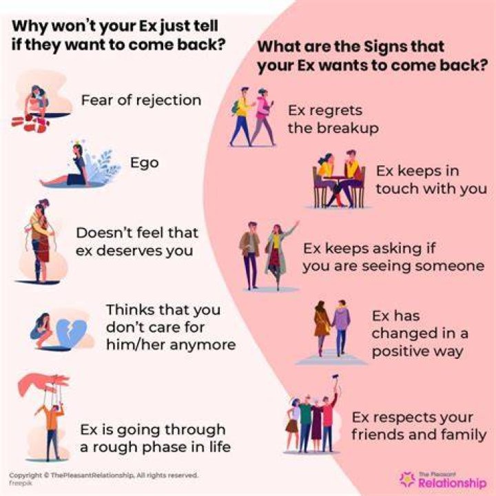 How long does it take for exes to come back?