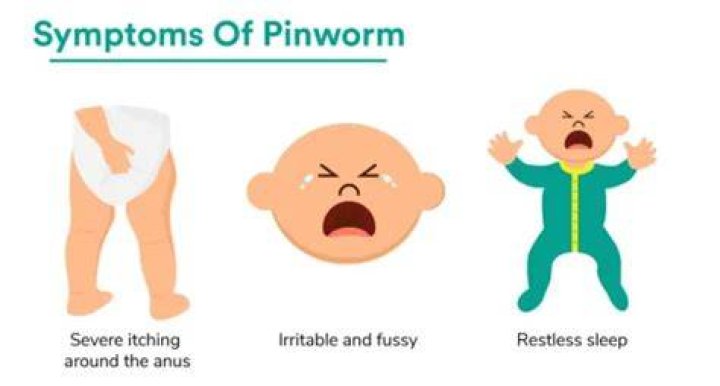 How long does it take for itching to stop after pinworm treatment?