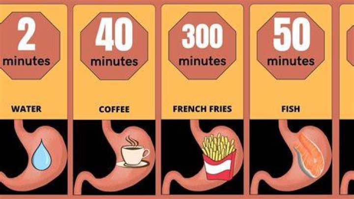 How long does it take for your stomach to tell your brain it's full?