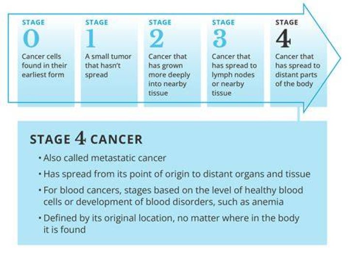 How long does it take to die from terminal brain cancer?