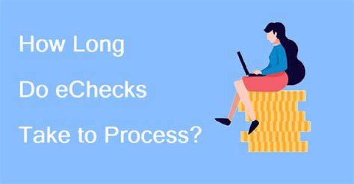 How long does it take to process electronic checks?