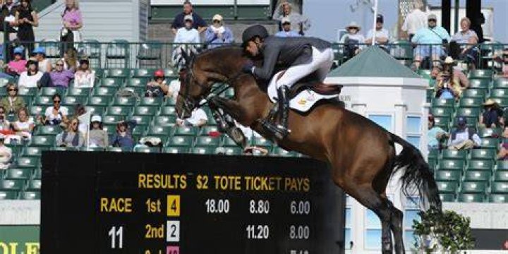 How long does it take to train a jumping horse?