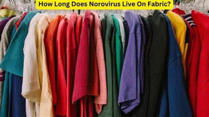 How long does norovirus live on fabric?