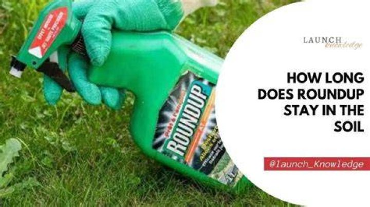 How long does Roundup stay active?