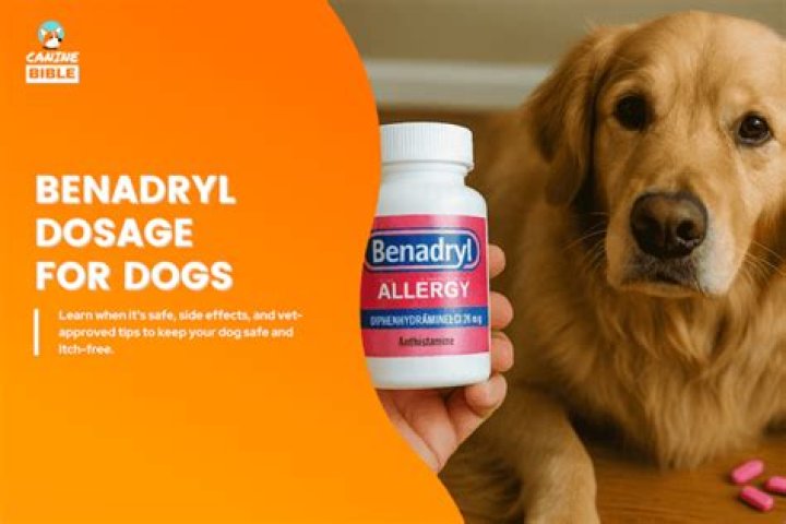 How long will Benadryl make a dog sleep?