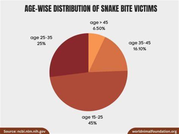 How many Americans are bitten by snakes each year?