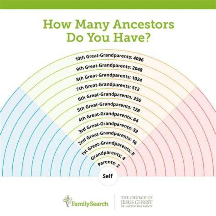 How many ancestors are there in 1000 years?