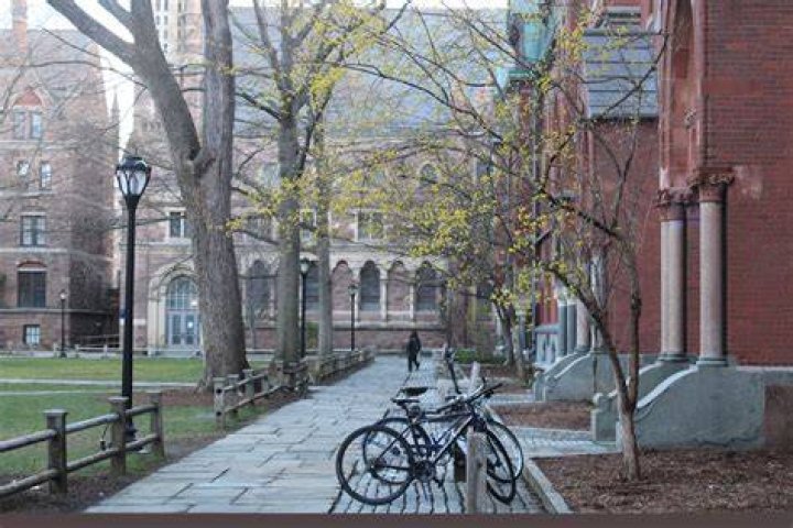 How many black professors are at Yale?