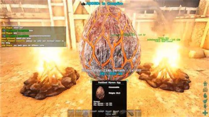 How many campfires does it take to hatch a wyvern egg?