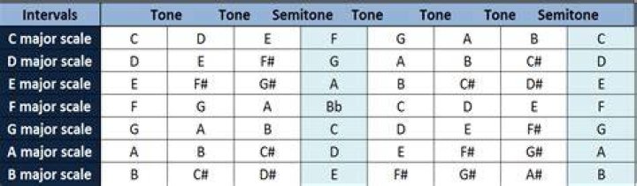How many different types of whole tone scales exist?