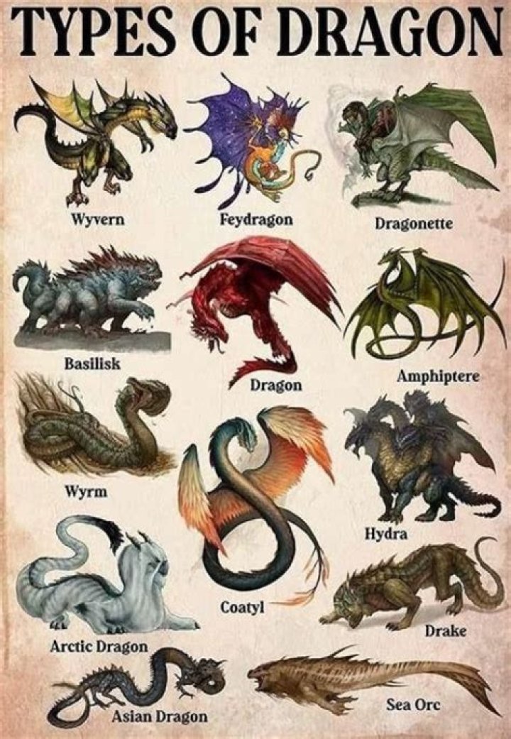 How many Dragon types does Ash own?