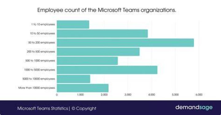 How many employees does an S Corp have?
