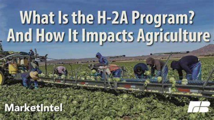 How many H-2A workers are there in South Africa?