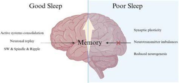 How many hours of sleep do you need for memory retention?