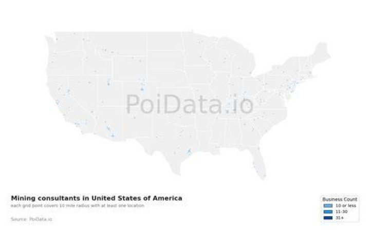 How many IT consultants are there in the US?