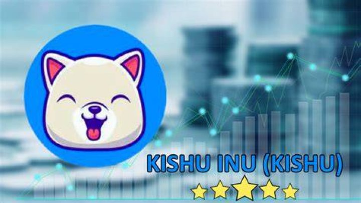 How many Kishu Inu coins are there?