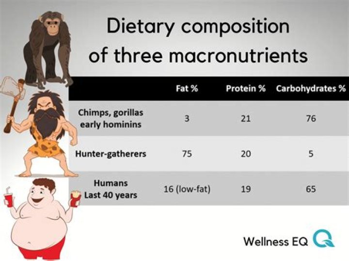 How many meals a day did our ancestors eat?