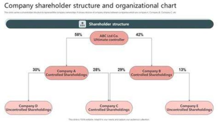 How many members does an S Corp have?
