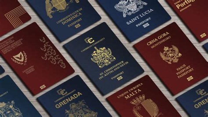 How many passports can a US citizen have?