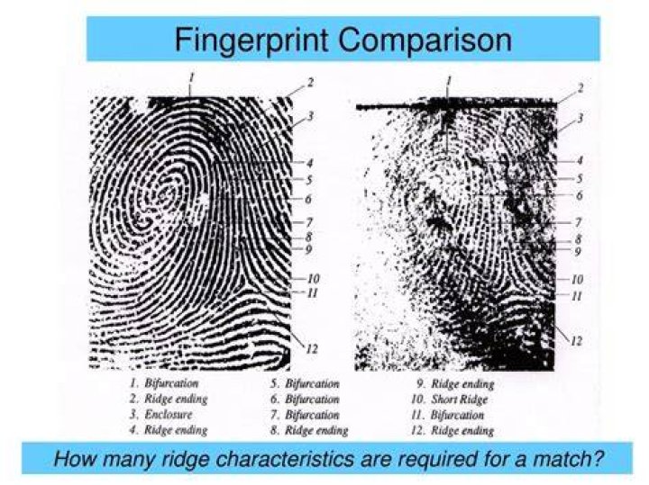 How many points on a fingerprint must match?